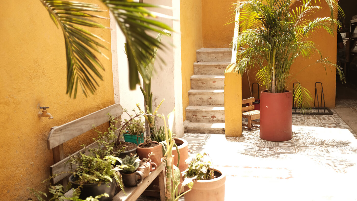 oaxaca guide filemon 6