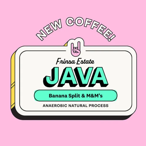 perc java sprudge roaster's village