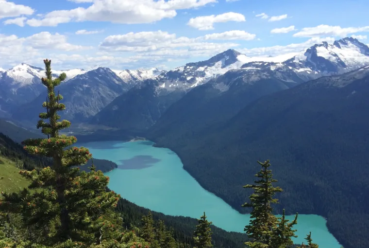 whistler community 01